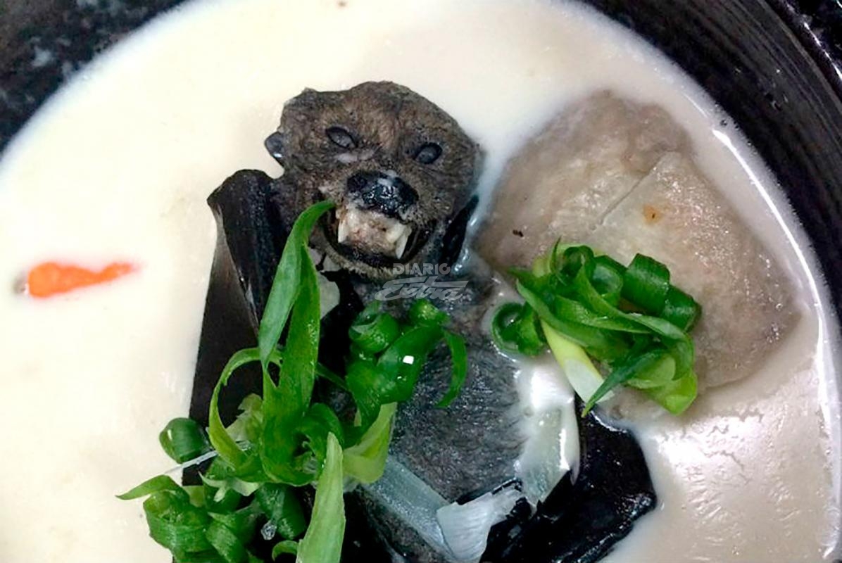 Суп из летучей мыши Китай