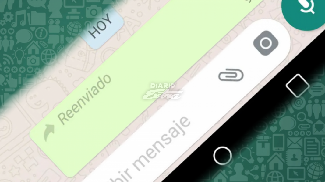 Diario Extra Aprenda A Quitar La Etiqueta De Reenviado En Los Mensajes De Whatsapp 0024